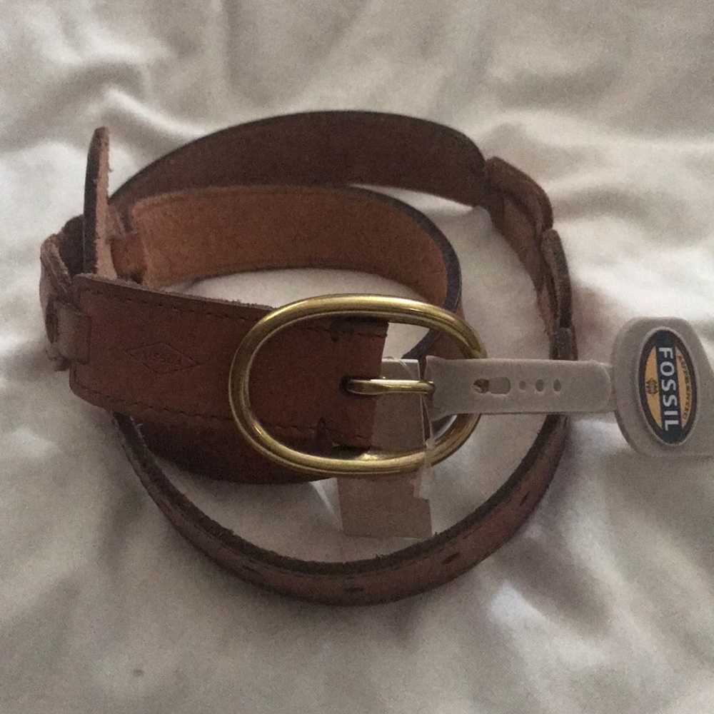 Fossil belt